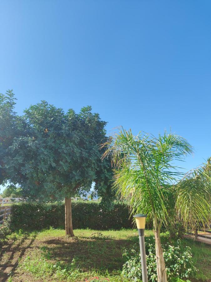 Villa Castiglione クストナーチ エクステリア 写真