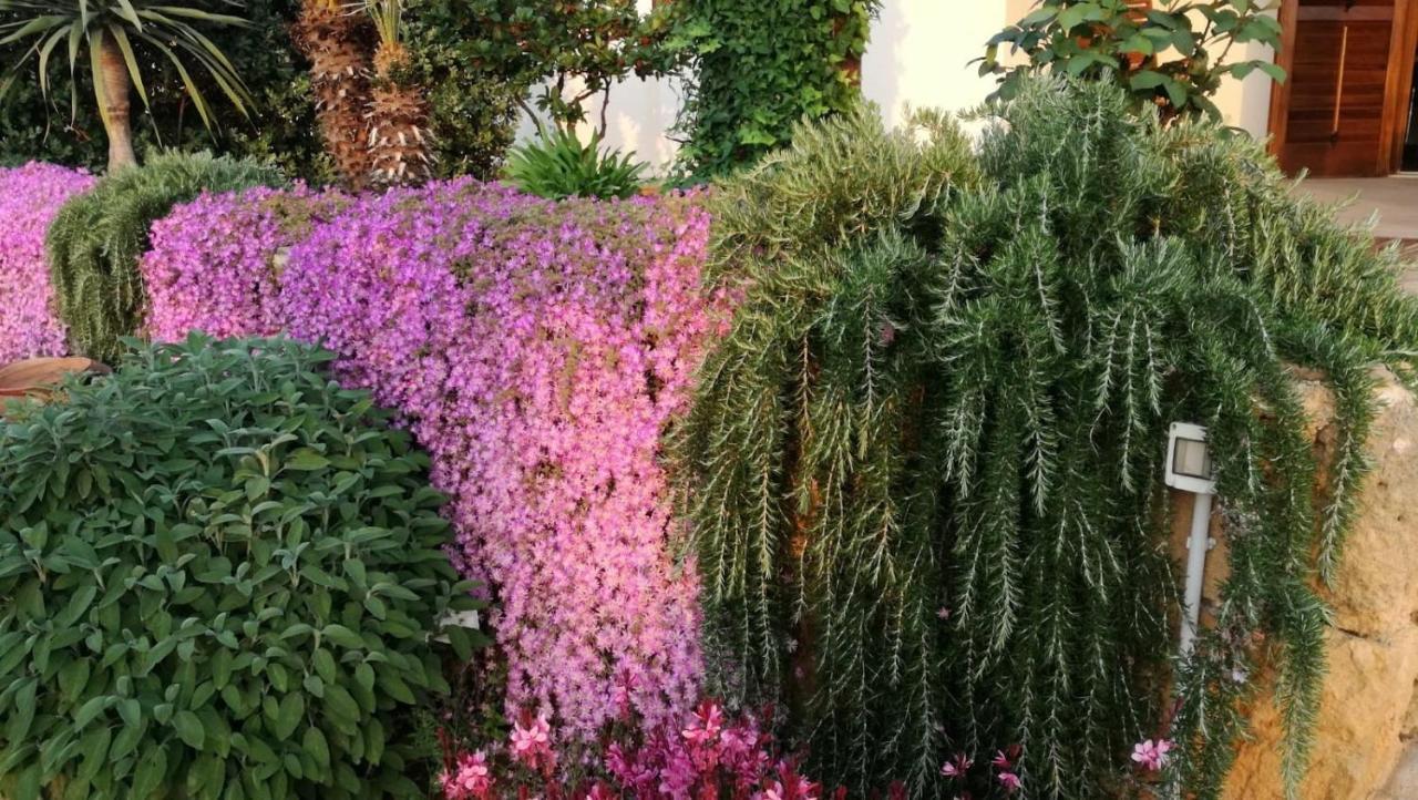 Villa Castiglione クストナーチ エクステリア 写真