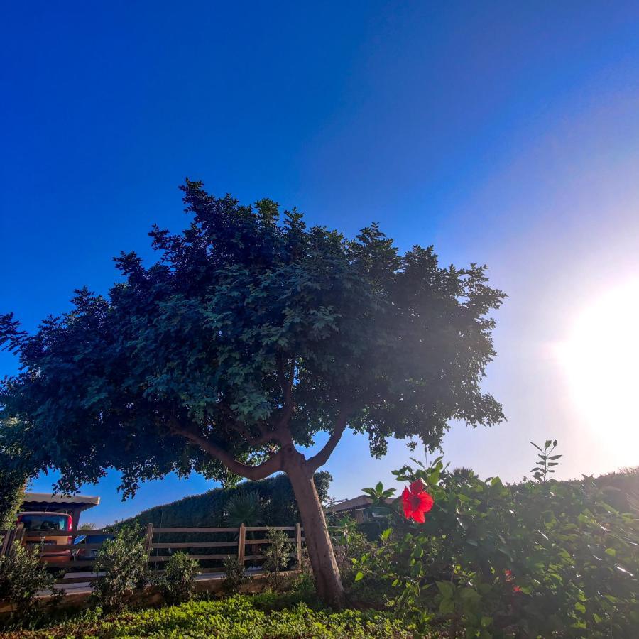 Villa Castiglione クストナーチ エクステリア 写真
